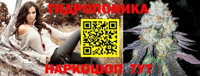 круглые Тверь